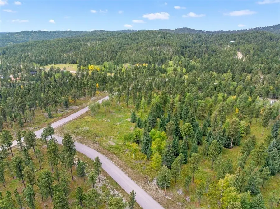 Lot 4 Lofty Pines Road, Lead, SD 57754 - Image #2