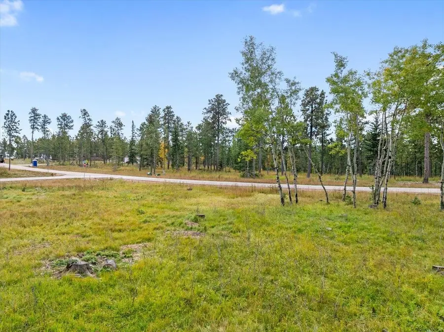 Lot 4 Lofty Pines Road, Lead, SD 57754 - Image #3