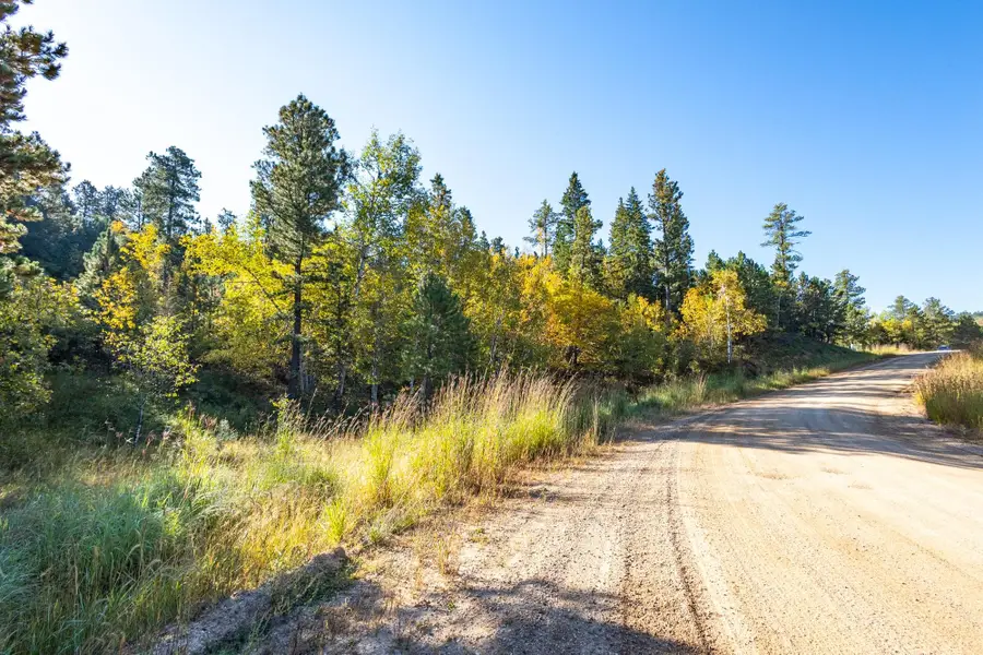 Lot 17 Dynasty Road, Lead, SD 57754 - Image #2