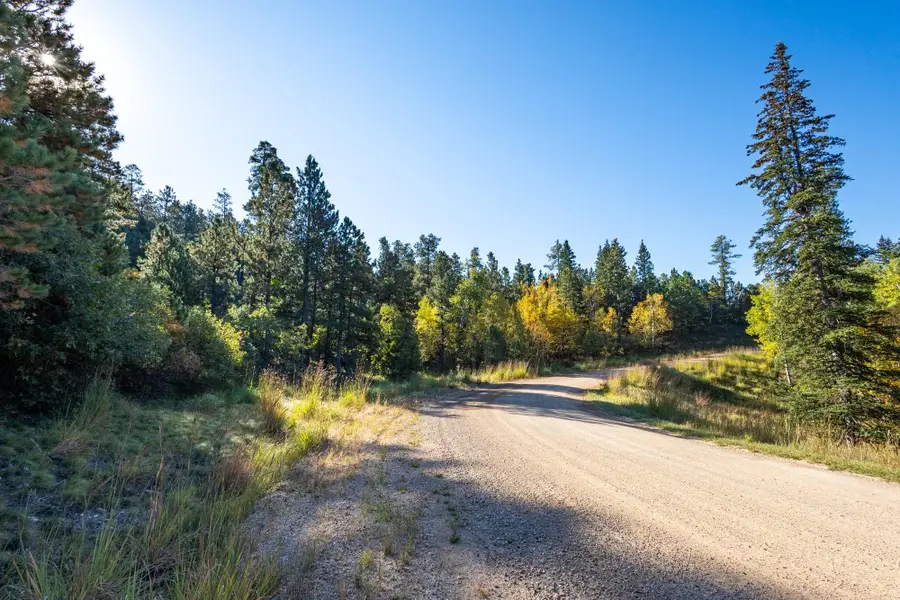 Lot 17 Dynasty Road, Lead, SD 57754 - Image #3