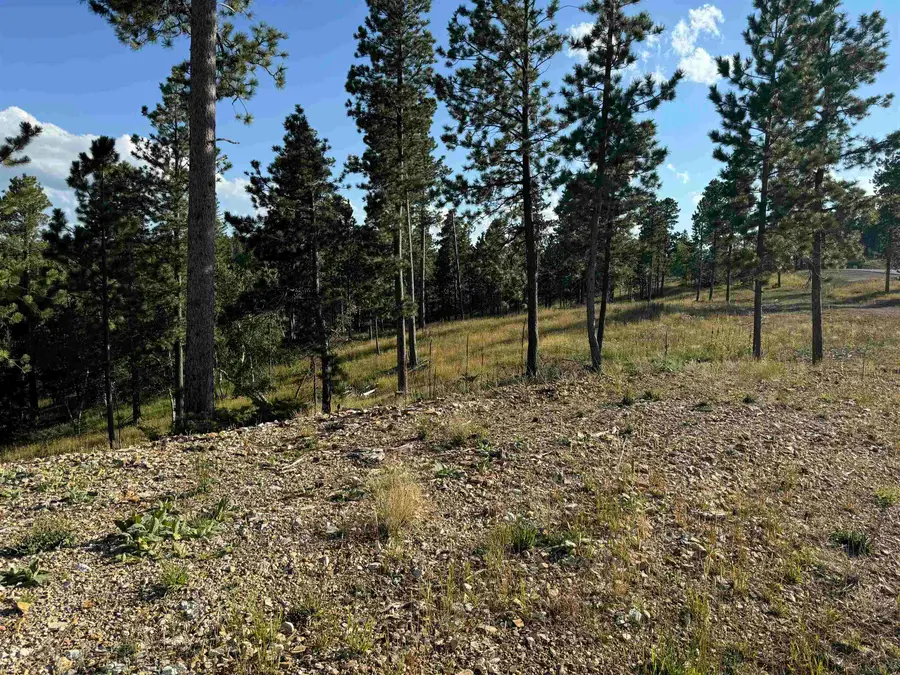 Lot 21 Overlook Court, Lead, SD 57754 - Image #2