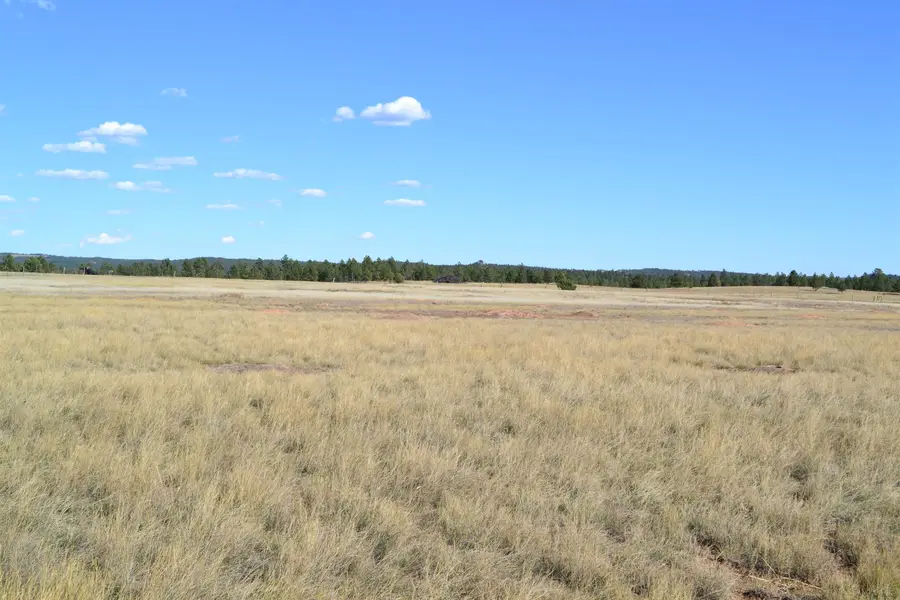 TBD Moonlight Drive, Edgemont, SD 57735 - Image #3