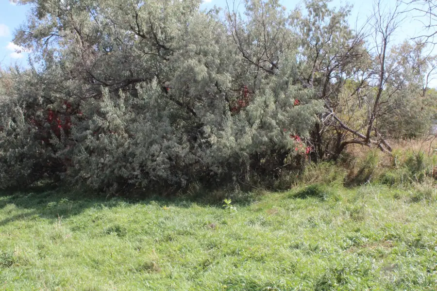 Lot 6 Sage Road, Newcastle, WY 82701 - Image #2