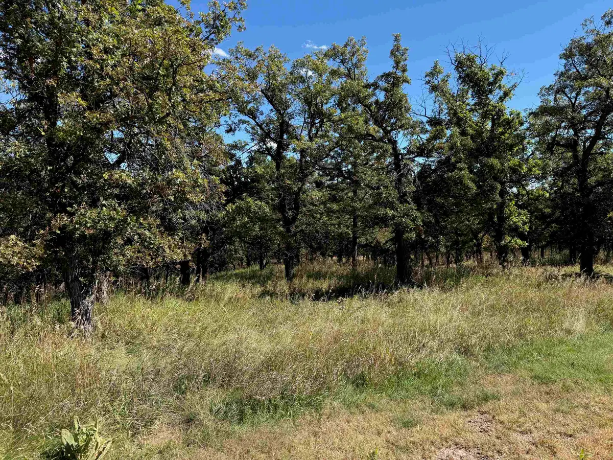 Lot 24 Ridgefield Loop, Spearfish, SD 57783 - Image #1
