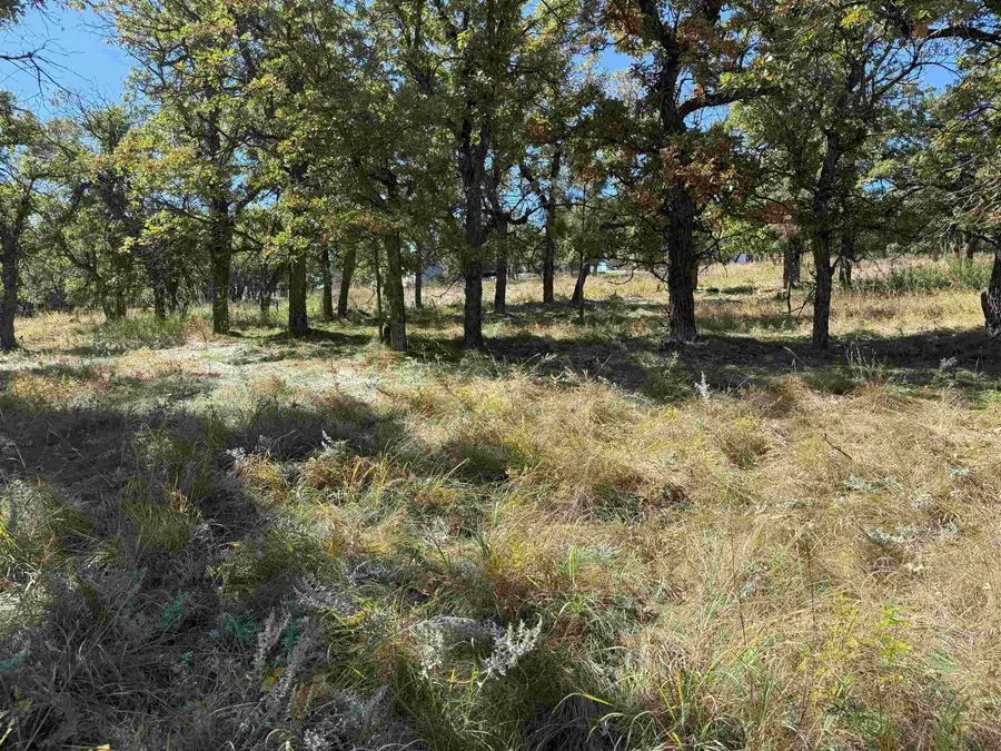 Lot 24 Ridgefield Loop, Spearfish, SD 57783 - Image #2