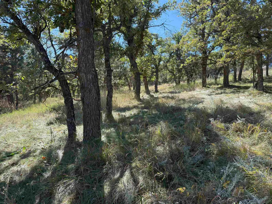 Lot 24 Ridgefield Loop, Spearfish, SD 57783 - Image #3