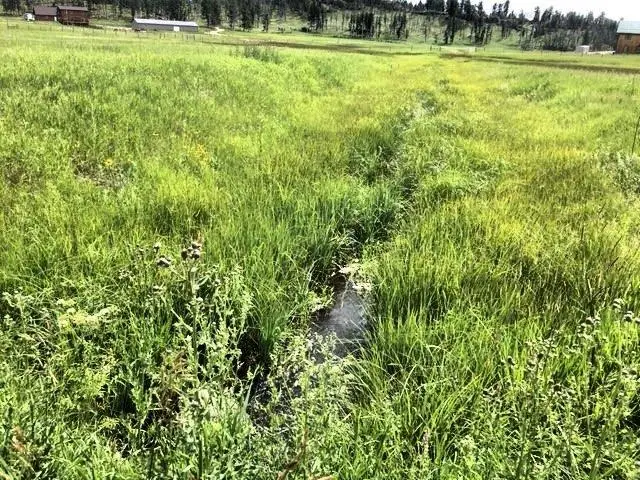 11895 Pleasant Valley Road, Custer, SD 57730 - Image #2