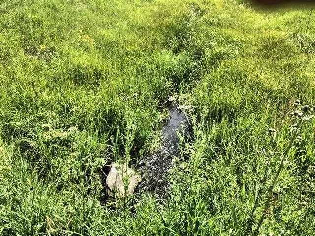 11895 Pleasant Valley Road, Custer, SD 57730 - Image #3