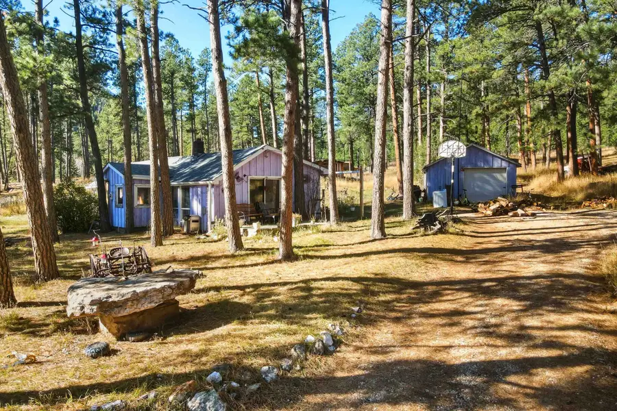 12302 Reno Gulch Road, West Pennington, SD 57730 - Image #3