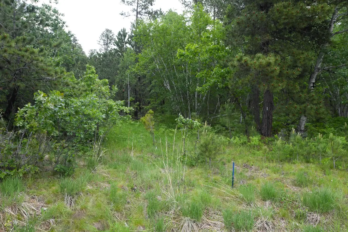 Lot 14 Monte Carlo Road, Lead, SD 57754 - Image #1