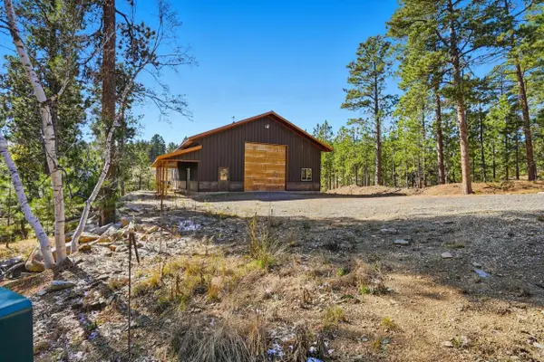 21205 Ridgewood Trail, Lead, SD 57754