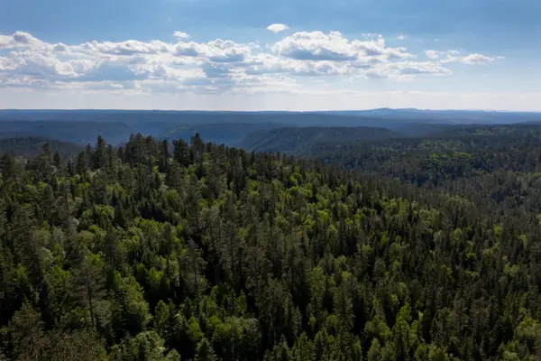 Lot 20R Deer Mountain Road, Lead, SD 57754