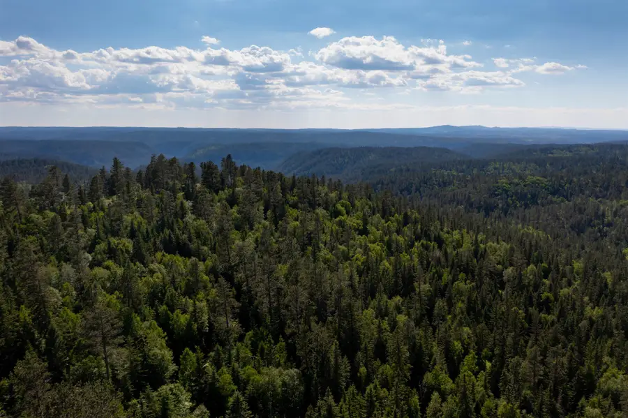 Lot 55R Deer Mountain Road, Lead, SD 57754 - Image #2