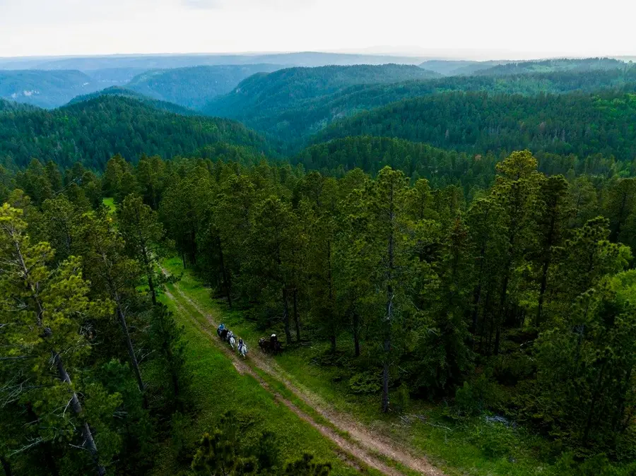 Lot 55R Deer Mountain Road, Lead, SD 57754 - Image #3