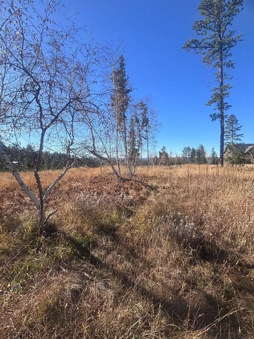 Lot 19 Block 10 Antelope Trail, Lead, SD 57754 - Image #3
