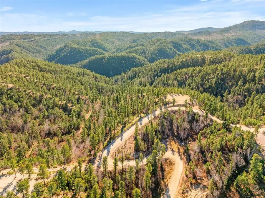 20942 Aspen Creek Dr, Lead, SD 57754 - Image #3