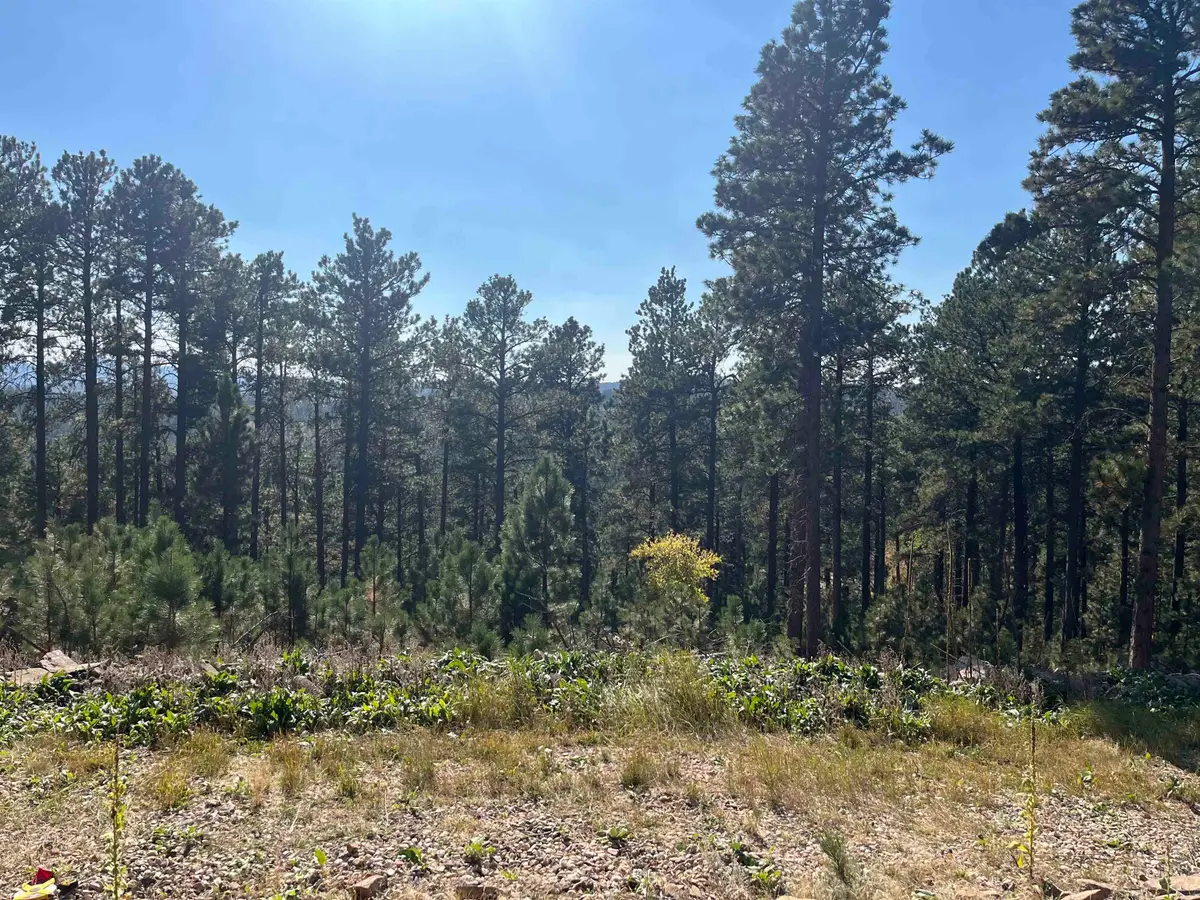 11795 Gilt Edge Road, Deadwood, SD 57732 - Image #1