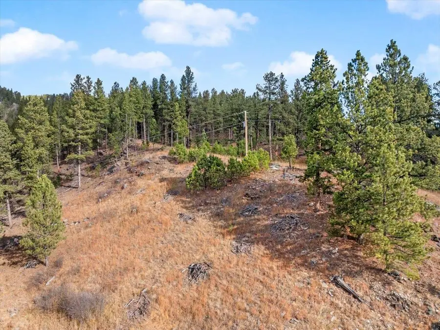 11708 Rochford Road, Hill City, SD 57745 - Image #3