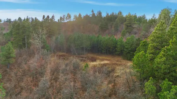 lot 30 Centennial Vista Avenue, Spearfish, SD 57783