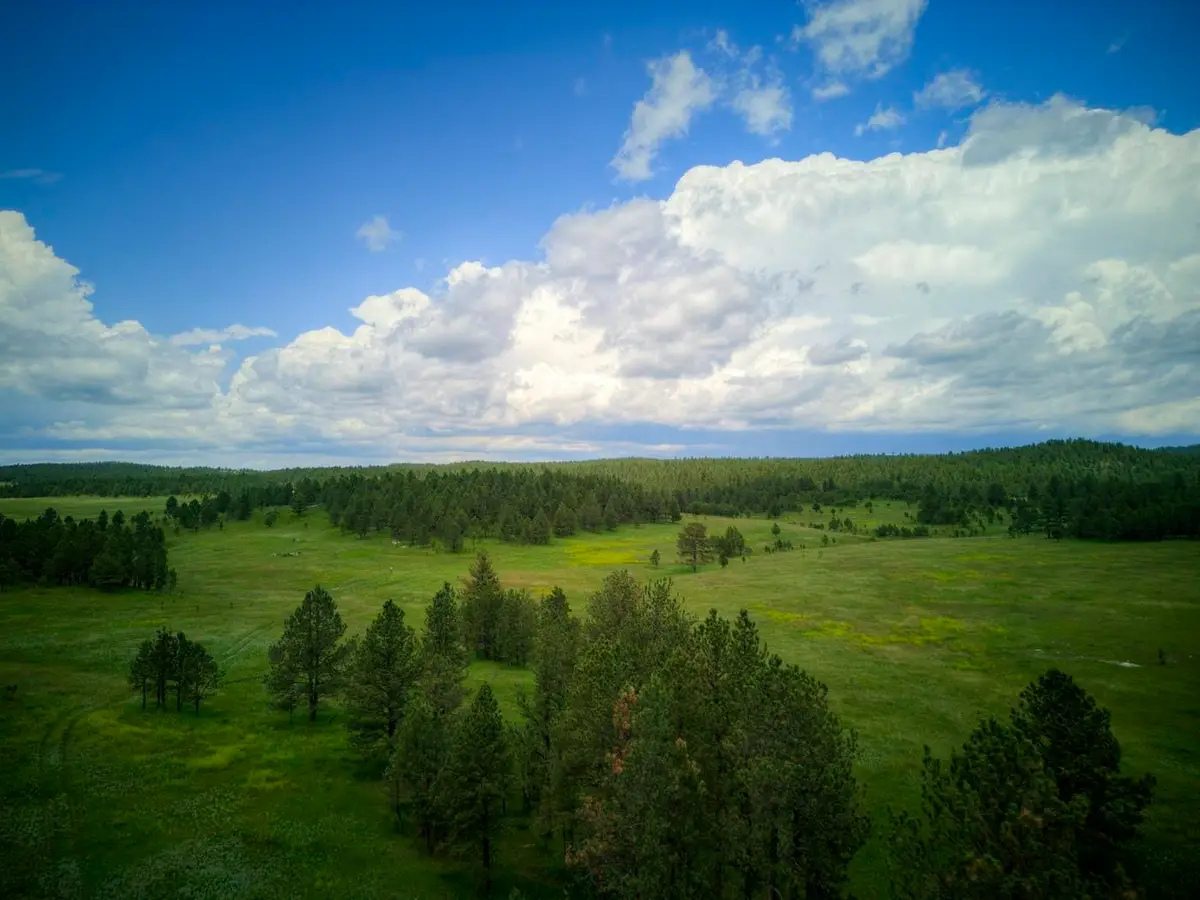 Hopkins Flats, West Custer, SD 57730 - Image #1