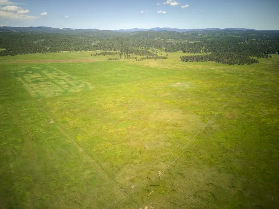 Hopkins Flats, West Custer, SD 57730 - Image #3