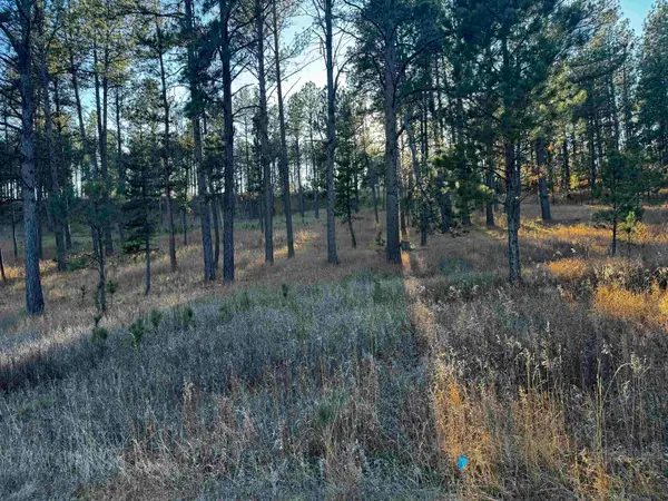 Lot 2 Lechner Lane, Custer, SD 57730