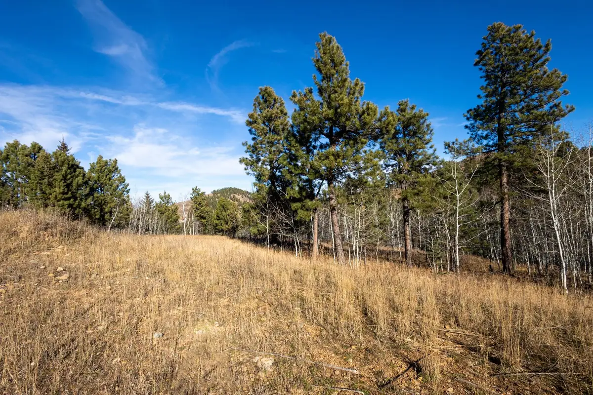 Lot 44 Noble Grand Court, Sturgis, SD 57785 - Image #1