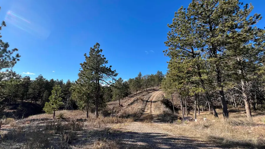 12725 Ridgeview Drive, Hot Springs, SD 57747 - Image #3