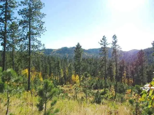 Lot 16 Dynasty Road, Lead, SD 57754 - Image #3