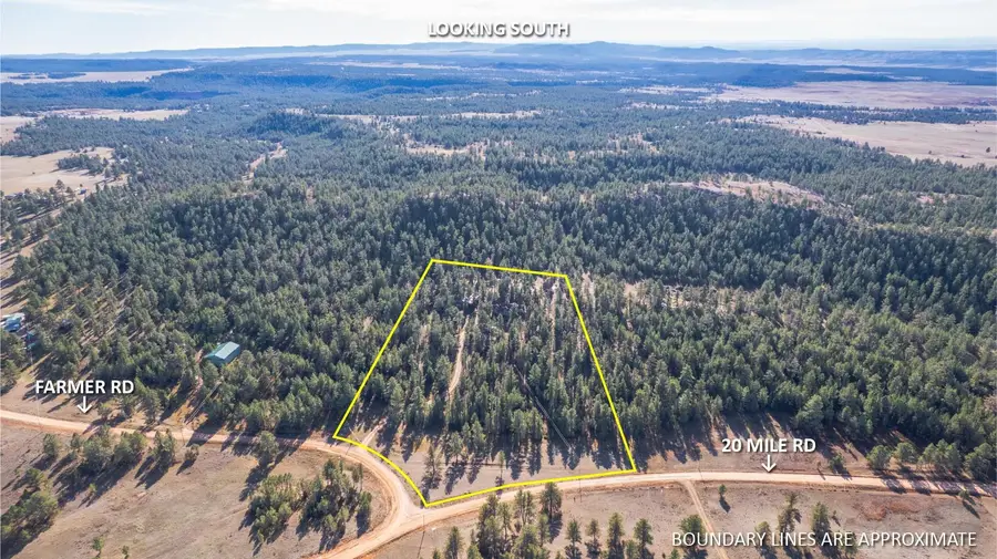 11477 Farmer Road, Custer, SD 57730 - Image #3