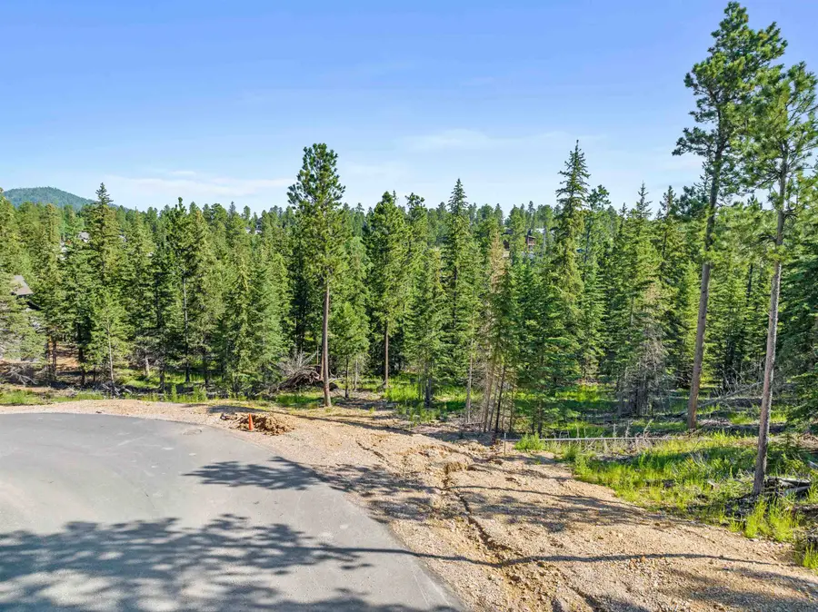 Lot 8 Block 5 Trailside Loop, Lead, SD 57754 - Image #3