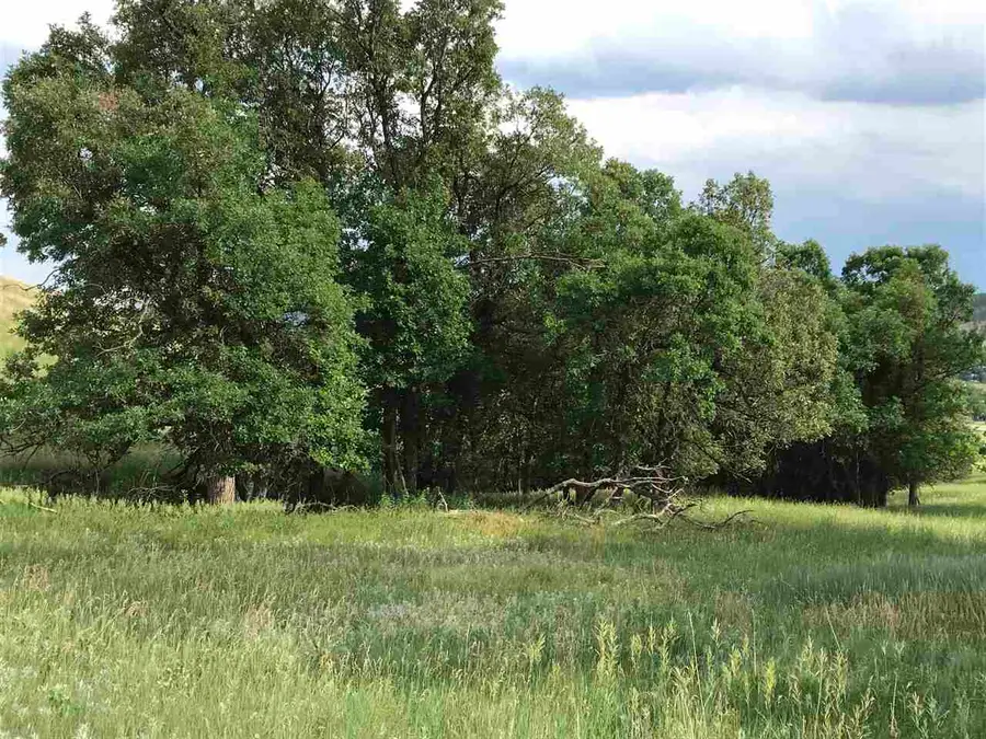 3726 Twisted Oak Road, Sturgis, SD 57785 - Image #2