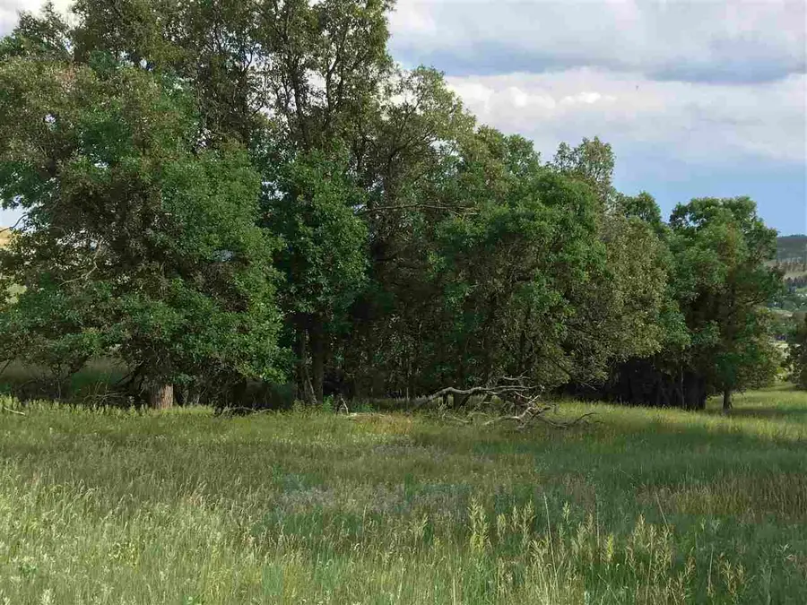 3726 Twisted Oak Road, Sturgis, SD 57785 - Image #3