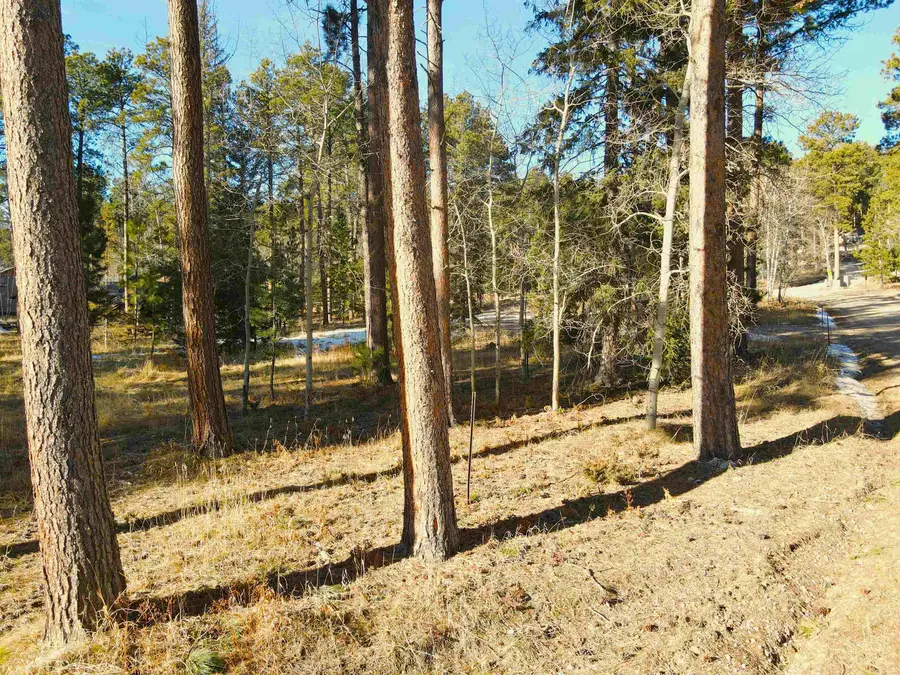 TBD Whitetail Drive, Lead, SD 57754 - Image #2