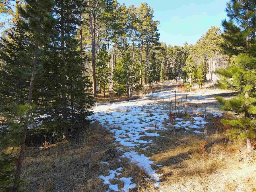 TBD Whitetail Drive, Lead, SD 57754 - Image #3
