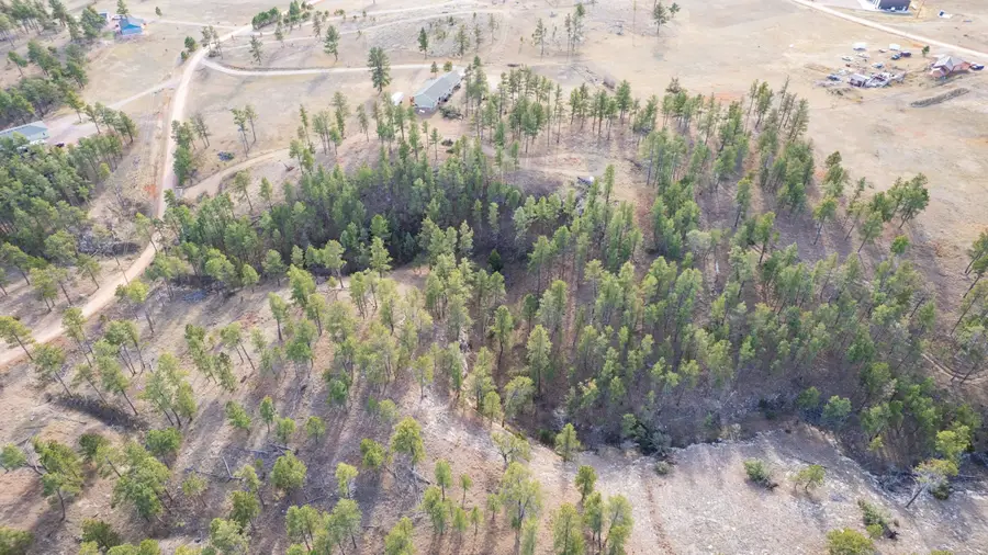 27871 Jenny Road, Hot Springs, SD 57747 - Image #3