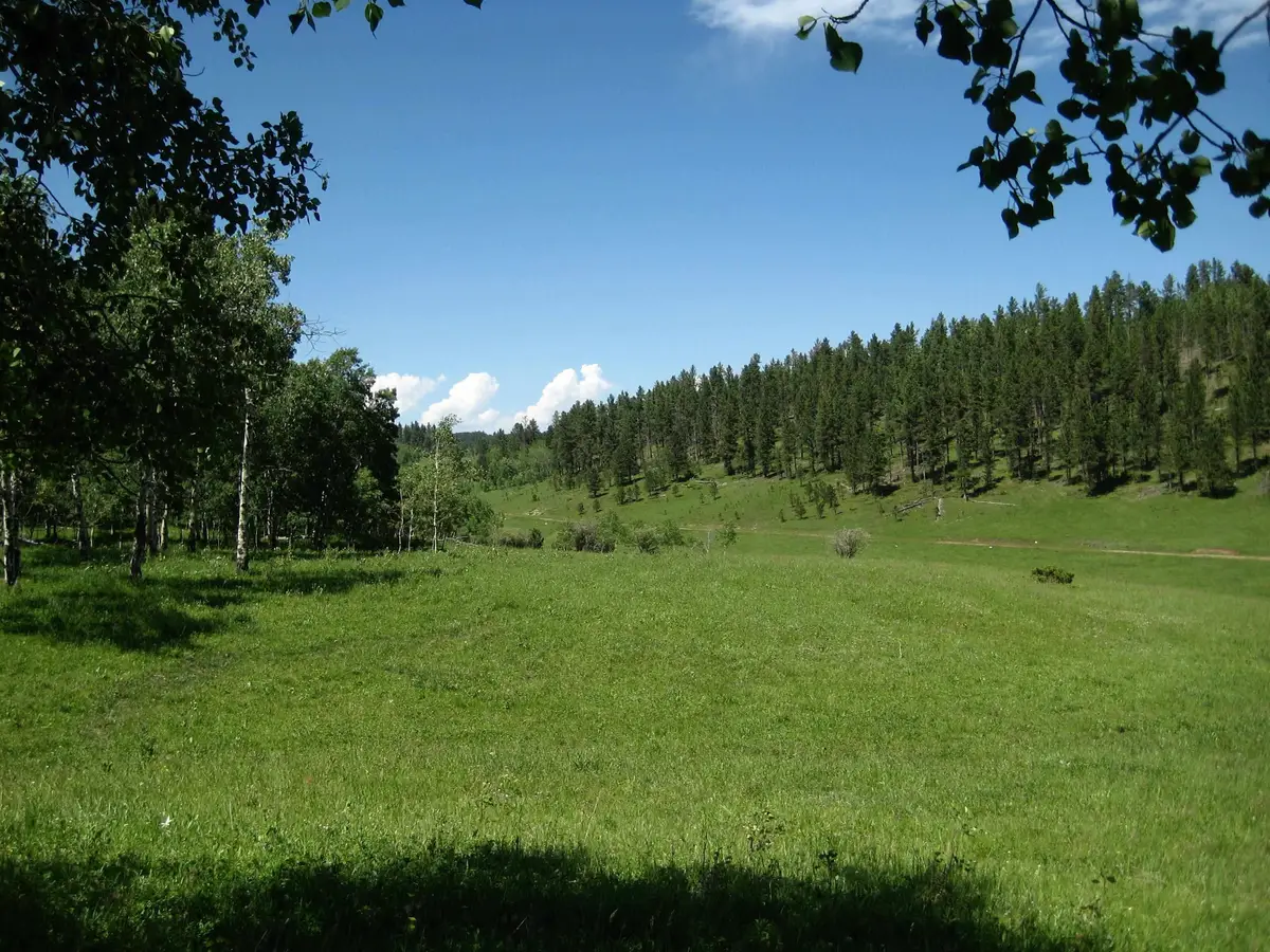 21933 Sunny Meadows Court, Lead, SD 57754 - Image #1