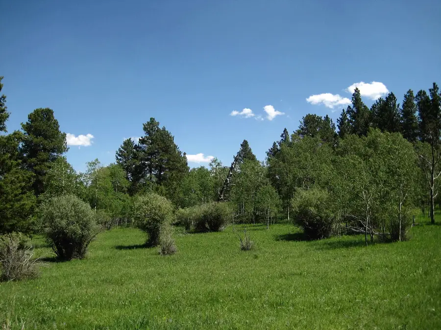 21933 Sunny Meadows Court, Lead, SD 57754 - Image #2