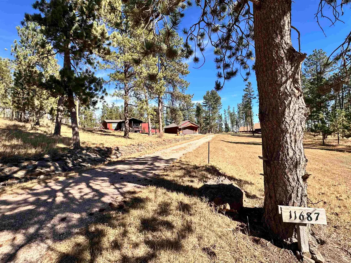 11687 W Paradise, Hill City, SD 57745 - Image #1