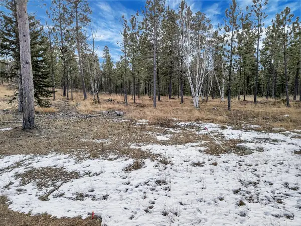 TBD Lofty Pines Ct, Lead, SD 57754