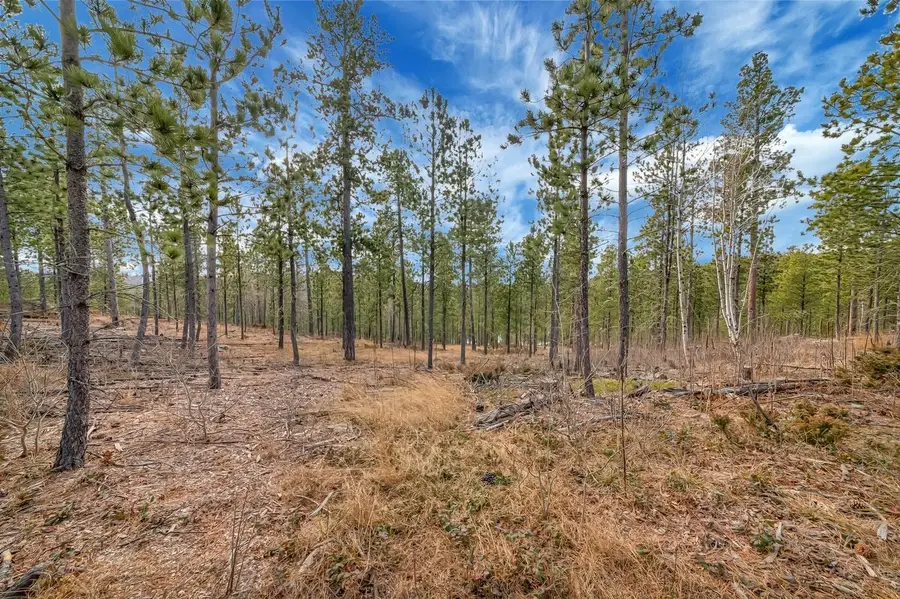 TBD Lofty Pines Ct, Lead, SD 57754 - #2