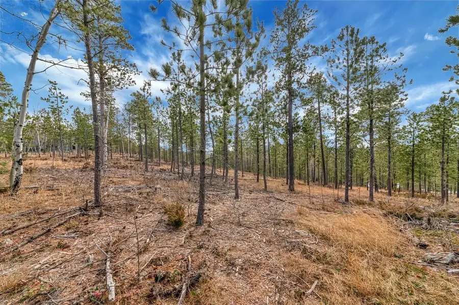 TBD Lofty Pines Ct, Lead, SD 57754 - #3