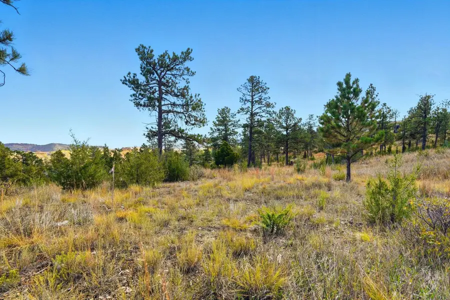 TBD Pine Hills Dr, Rapid City, SD 57702 - Image #3