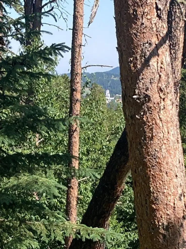 TBD Wasp Road, Lead, SD 57754 - Image #1