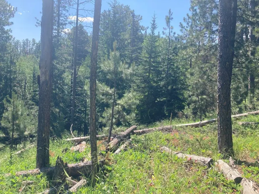 TBD Wasp Road, Lead, SD 57754 - Image #3