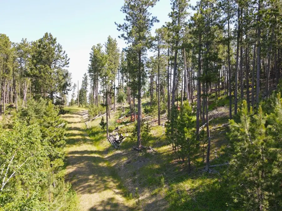 TBD Wasp Road, Lead, SD 57754 - Image #2