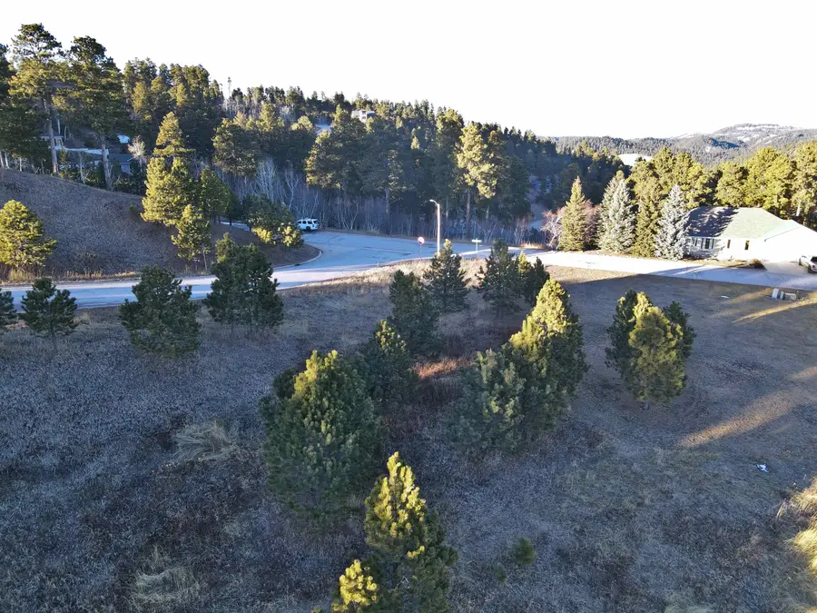 TBD Mountain View Drive, Lead, SD 57754 - Image #3