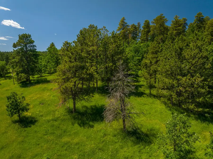TBD Acorn Ridge Road, North Lawrence, SD 57783 - Image #3