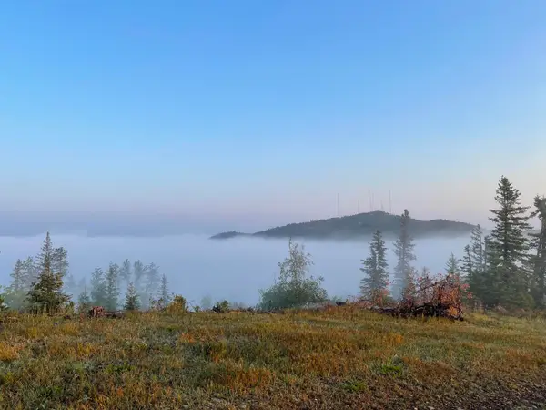 Lot 146 Deer Mountain Road, Lead, SD 57754