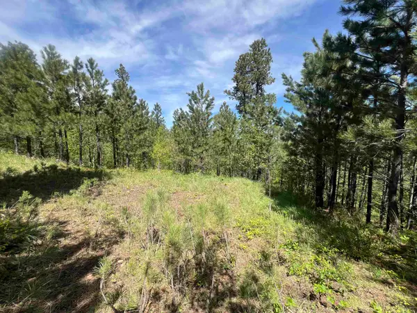Lot 17 Green Mountain Court, Spearfish, SD 57783